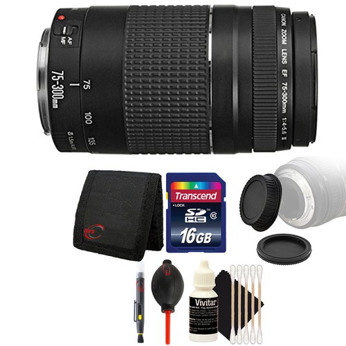 Canon 300mm 5 6 - f/4-5.6, iii