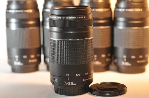 Canon 300mm 5 - 75-300mm, f/4-5.6